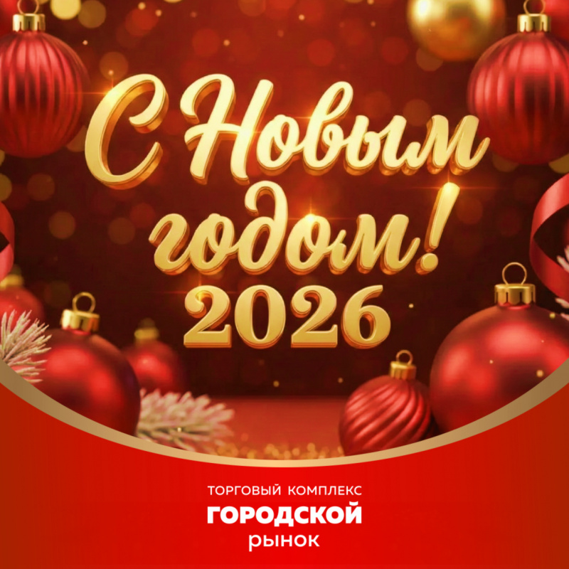 Поздравляем вас с наступившим 2026 годом!